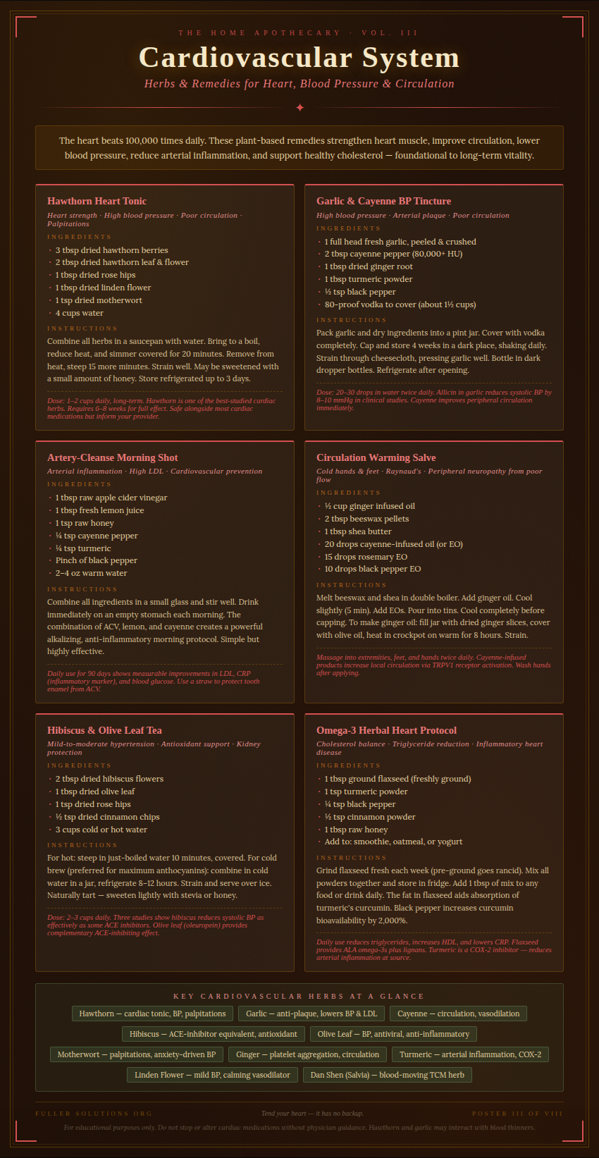 Cardiovascular System